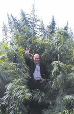 mb_feld.JPG (28601 Byte)